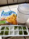流質營養餐