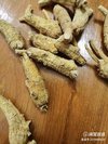ginseng can be used in every season!