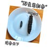 脆皮打工人的滋补佳品