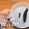 脆皮打工人的滋补佳品