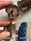 脆皮打工人的滋补佳品