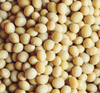 Love Soybeans milk