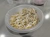 簡單省事豆芽機
