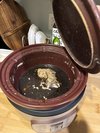 我喜欢紫砂器具