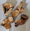 质量好，值得信赖！