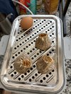 蒸东西非常方便