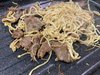 一家人够用了