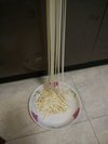 面条机做面条，很方便