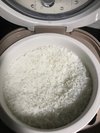 预约煮