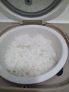 米饭有嚼劲