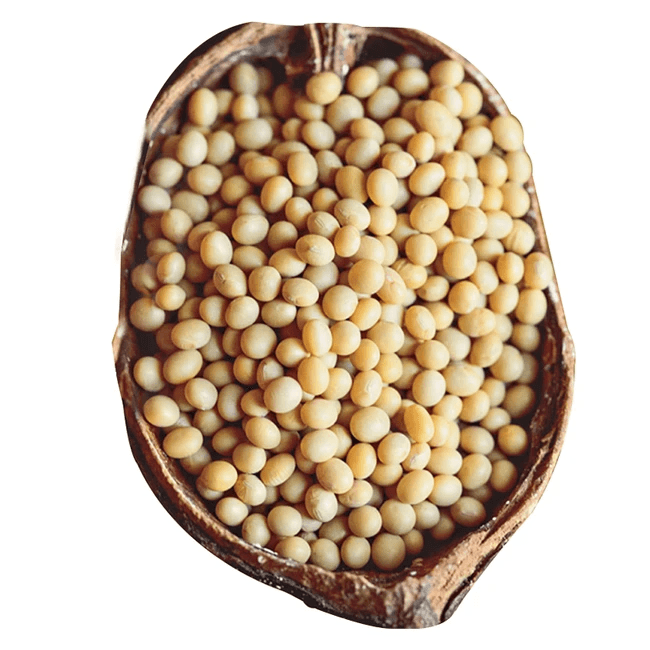 Non Gmo Soybeans non-gmo-soybeans