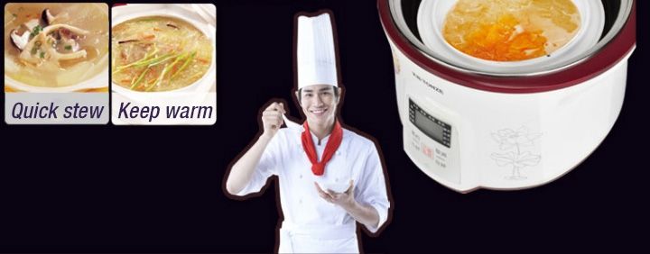 TONZE SMART ELECTRIC STEW POT DGD-18EG 1.8L WITH 4 CERAMIC INNER POTS