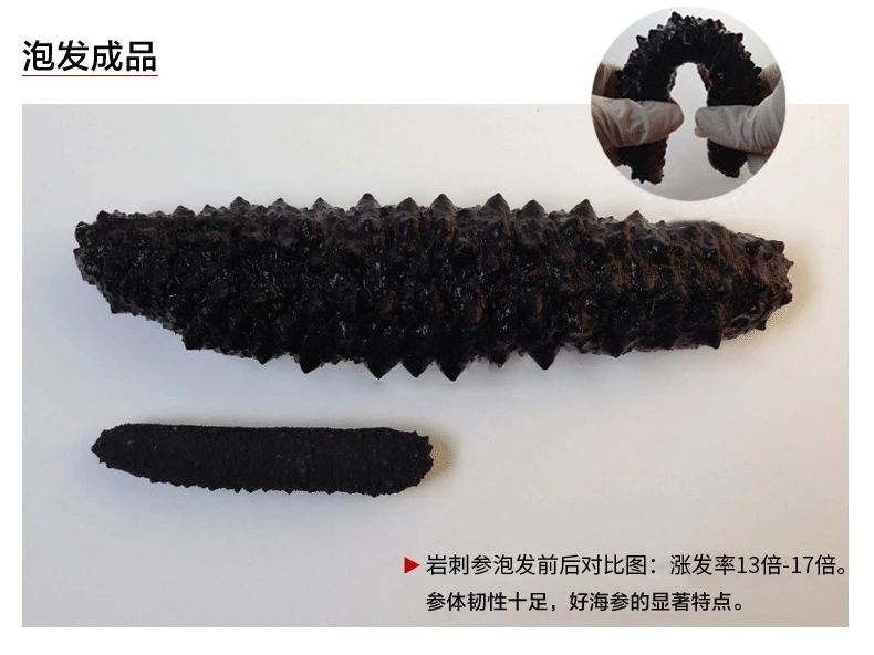 乾燥海参、大連特産 海参 48g 纯淡干海参价格_海参网