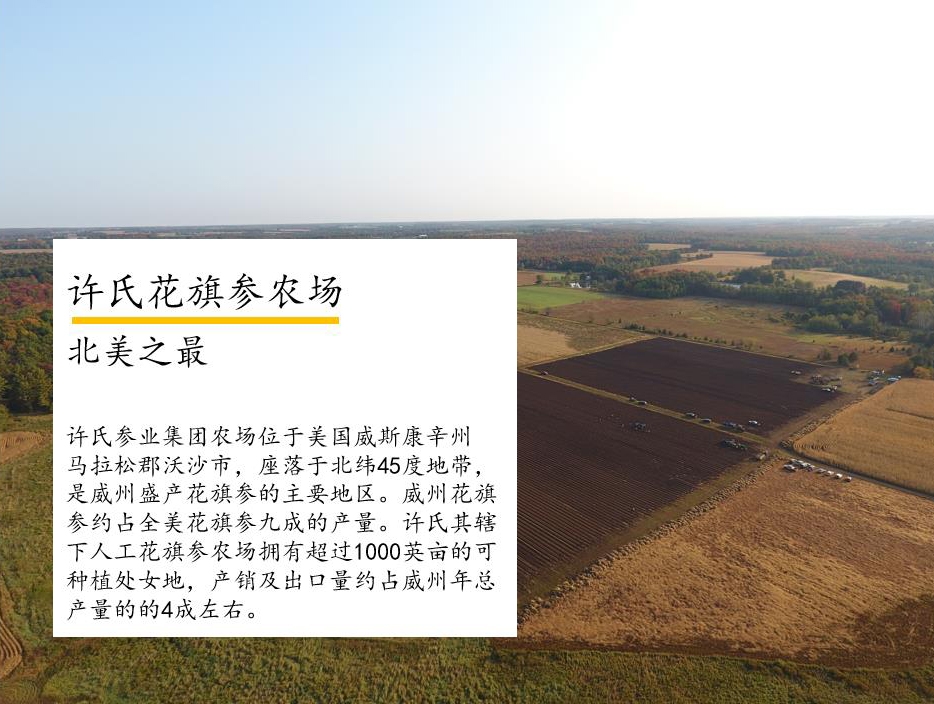 美国花旗参品牌推荐